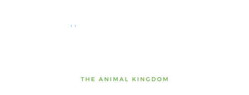 Know All Animals | Discover Amazing Creatures on Earth