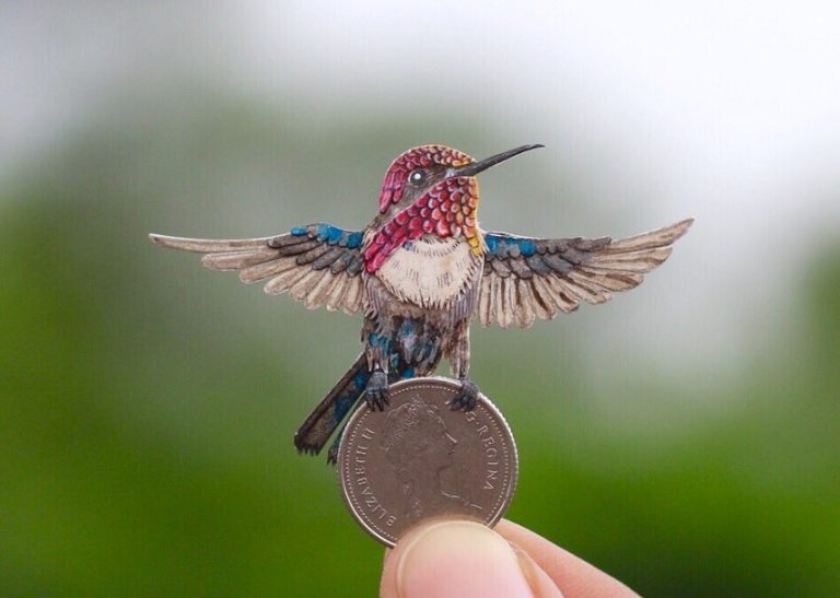 Top 10 Smallest Birds in the World – Tiny but Fascinating Creatures