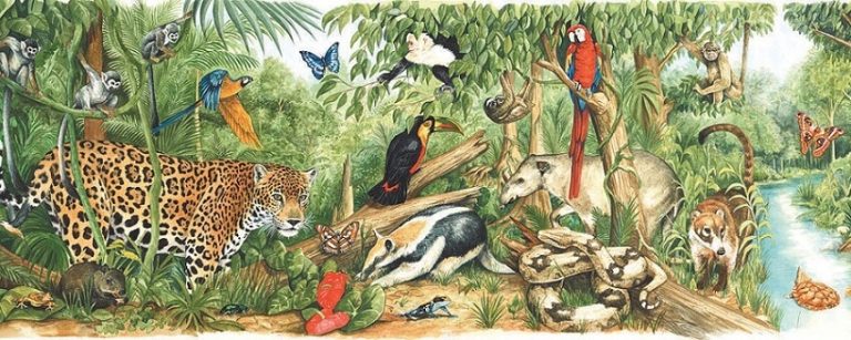 How Many Animals Have Ever Lived On Earth