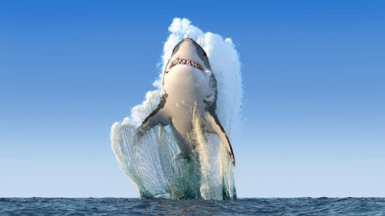 Top 10 Most Dangerous Predators in the World You Should Avoid